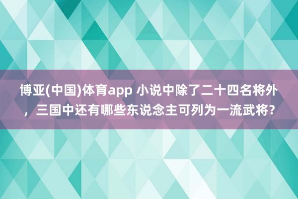 博亚(中国)体育app 小说中除了二十四名将外，三国中还有哪些东说念主可列为一流武将？