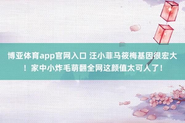 博亚体育app官网入口 汪小菲马筱梅基因很宏大！家中小炸毛萌翻全网这颜值太可人了！