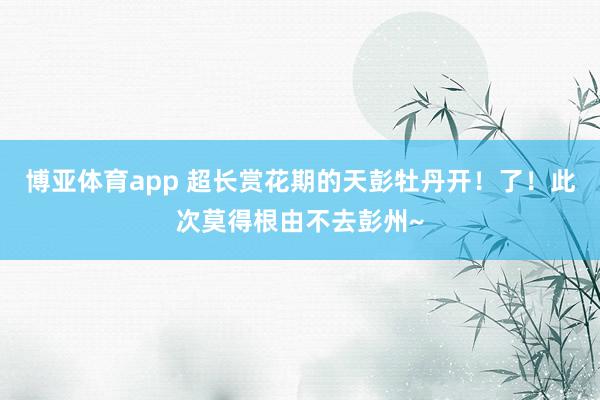博亚体育app 超长赏花期的天彭牡丹开！了！此次莫得根由不去彭州~