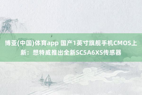 博亚(中国)体育app 国产1英寸旗舰手机CMOS上新：想特威推出全新SC5A6XS传感器