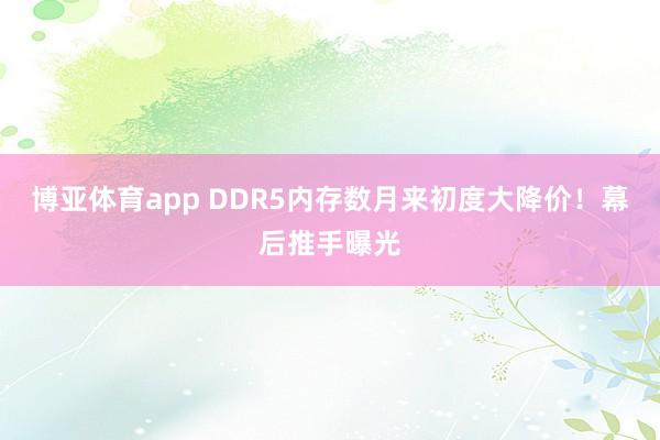 博亚体育app DDR5内存数月来初度大降价！幕后推手曝光