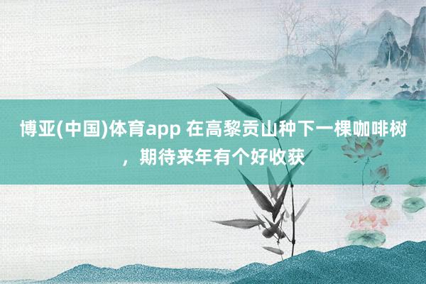 博亚(中国)体育app 在高黎贡山种下一棵咖啡树，期待来年有个好收获