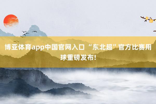 博亚体育app中国官网入口 “东北超”官方比赛用球重磅发布!