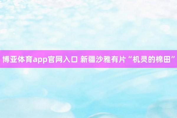 博亚体育app官网入口 新疆沙雅有片“机灵的棉田”