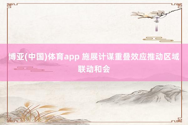博亚(中国)体育app 施展计谋重叠效应推动区域联动和会