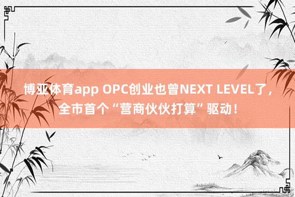 博亚体育app OPC创业也曾NEXT LEVEL了，全市首个“营商伙伙打算”驱动！