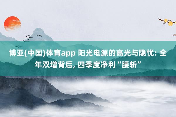 博亚(中国)体育app 阳光电源的高光与隐忧: 全年双增背后, 四季度净利“腰斩”