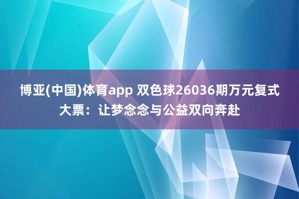 博亚(中国)体育app 双色球26036期万元复式大票：让梦念念与公益双向奔赴